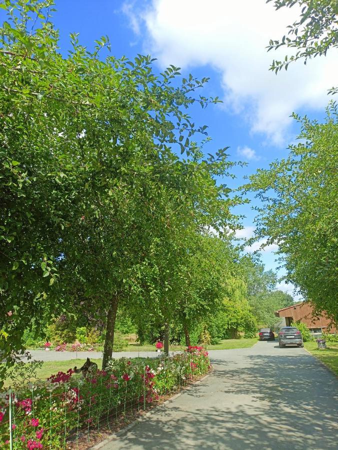 Les Chambres Du Vert Galant Rez De Jardin Verlinghem Eksteriør billede