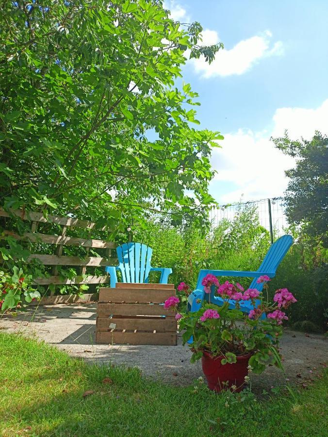 Les Chambres Du Vert Galant Rez De Jardin Verlinghem Eksteriør billede