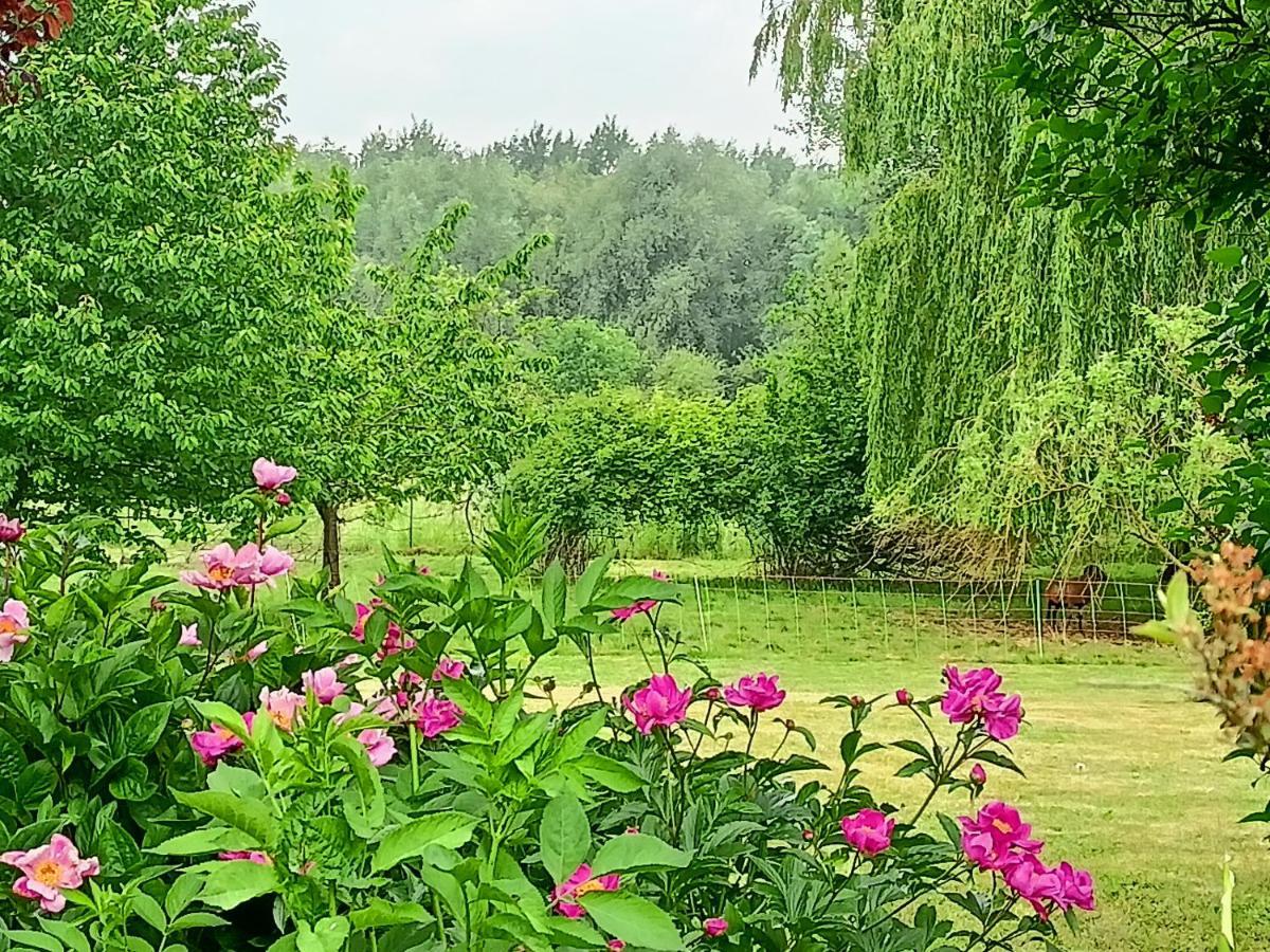 Les Chambres Du Vert Galant Rez De Jardin Verlinghem Eksteriør billede